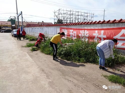 向陽街道紙漿社區 精細治理共創文明城，配套服務筑就衛生家